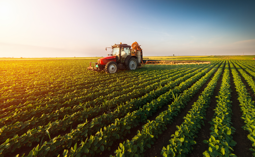 aste terreno agricolo